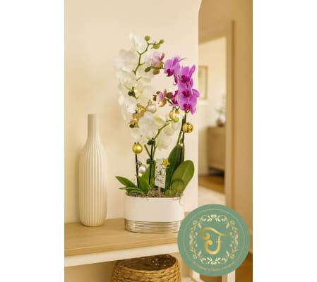 Duo-Delight Orchid Garden with Lights - Purple & White