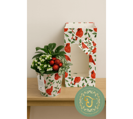 Ellen Garden in Tin with Gift Bag