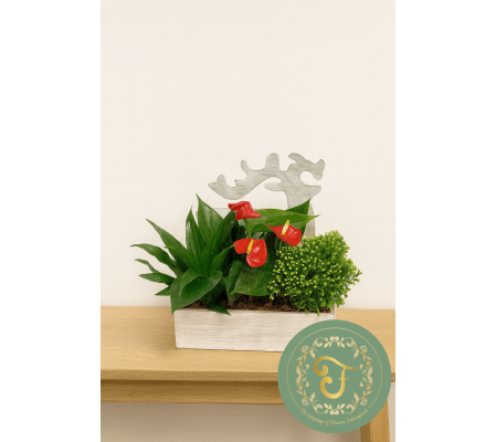 Christmas Reindeer Mixed Tropical Wooden Box
