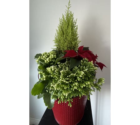 Holiday Cheer Mixed Planter