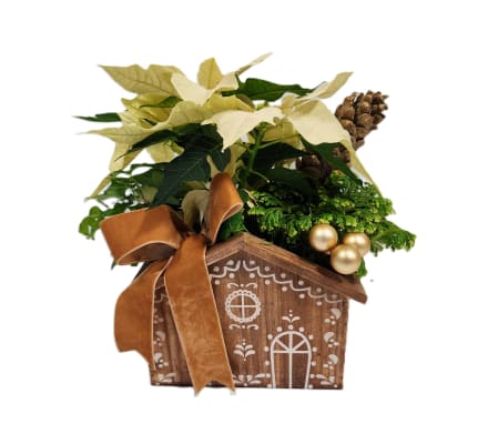 Gingerbread House Planter