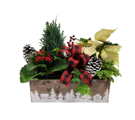 Winter forest planter box