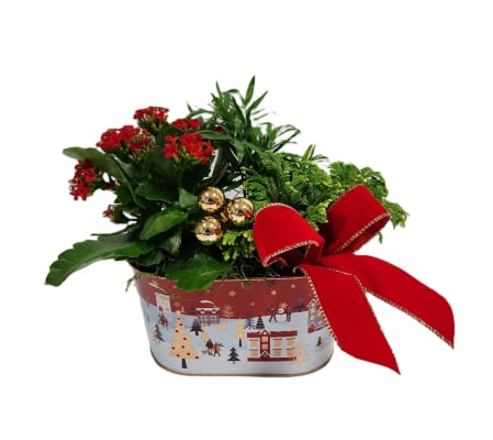 Holiday Joy Planter