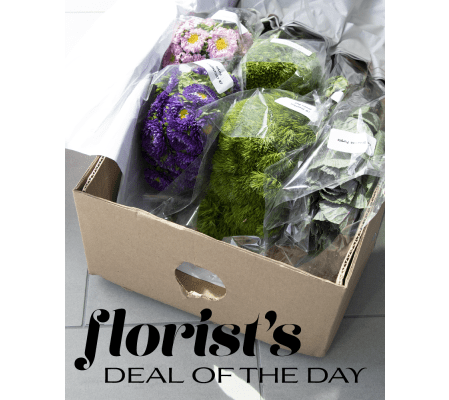 Florist's Deal of the Day