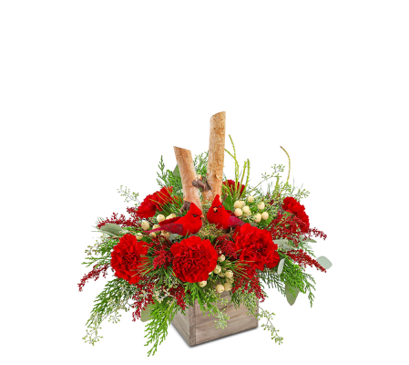 Woodland Cardinal Cheer