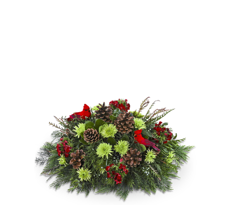 Where Cardinals Gather Centerpiece