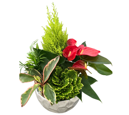 Silver Frost Winter Planter