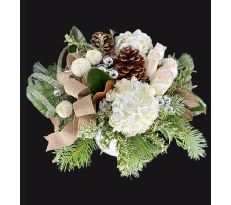 Hillcrest Starlight Starbright