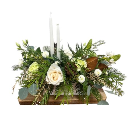 Silent Night Radiance