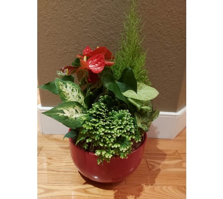 Festive Holiday Planter