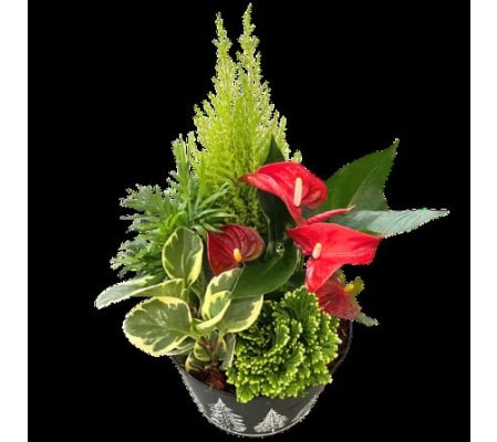 Luscious Seasonal Planter