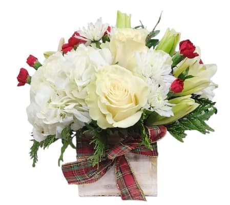 Christmas in the Snow