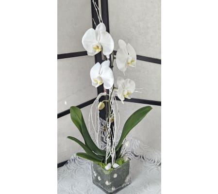 White Glass Vase Orchid Plant 