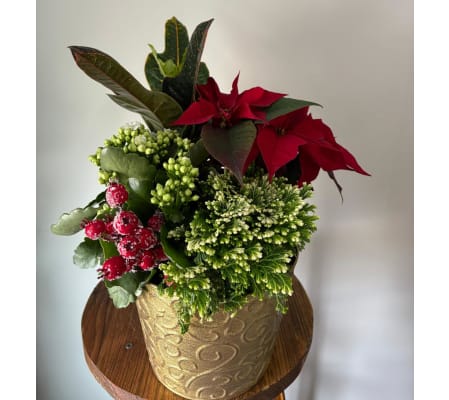 Holiday Cheer Mixed Planter