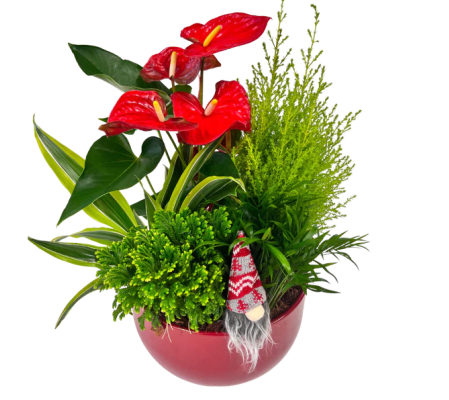 Perfect Christmas Planter