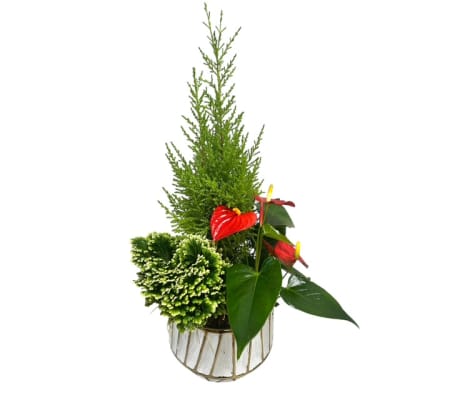 Festive Forest Embrace