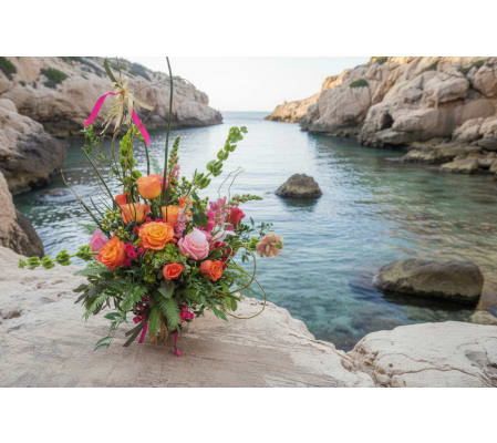 Wild & Free Daydream