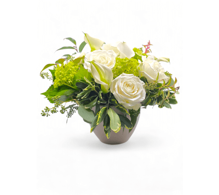 Luminous Tranquility