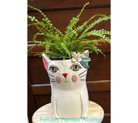 Whiskers' Green Haven