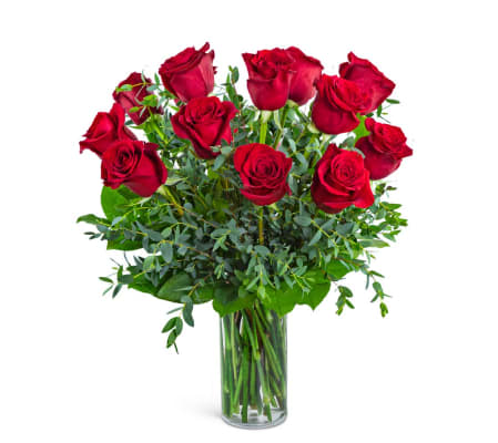One Dozen Red Hot Roses
