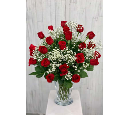 Love You Forever (IFC)