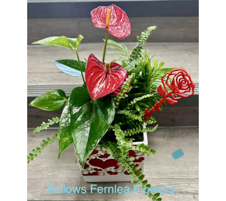 I Love You Planter by Fellows