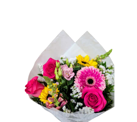 Pet-Safe Flower Bouquet for Cats & Dogs | Non-Toxic Flowers 