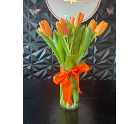 Sunshine Kiss Tulips