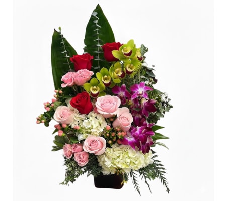 Crimson Orchid Elegance