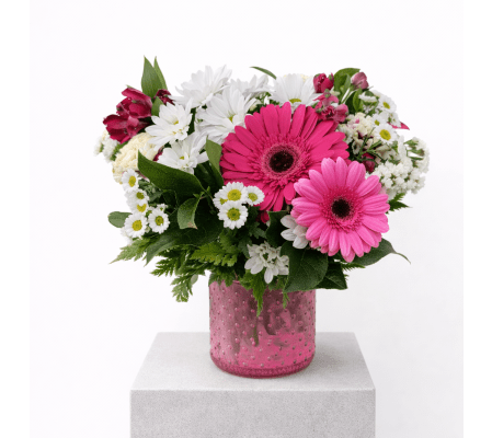 Sweetheart's Embrace