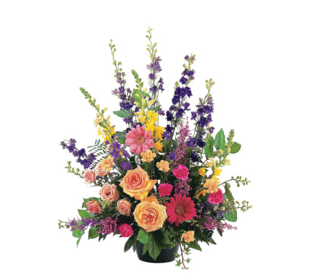 tf Most Memorable Tribute