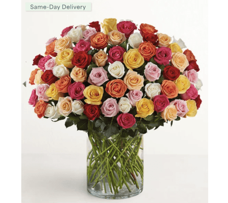 100 Premium Long Stem assorted multicolored roses