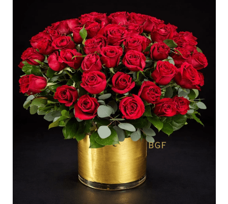 100 Red Rose Elegance