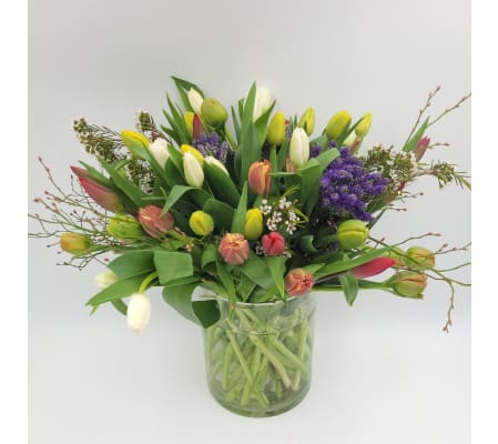 Tulip Meadow Delight