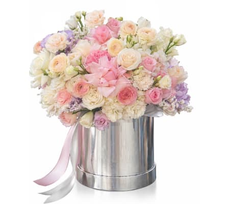 Gentle Whispers Bloom