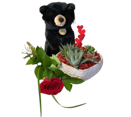 I'm a Succa for You!