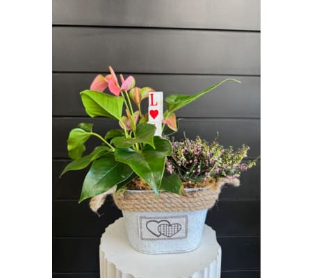 Growing Love Planter