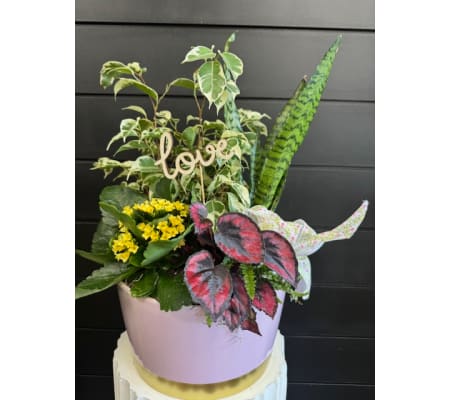 Blushing Love Dish Garden