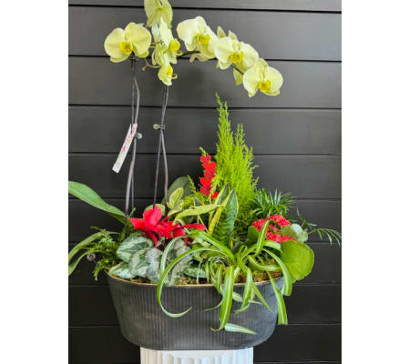 XL Basin of Love Planter