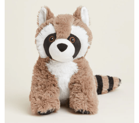 Raccoon Warmie