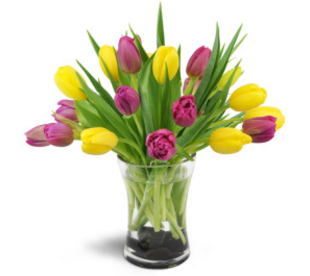 10 Tulips vased- Color will vary