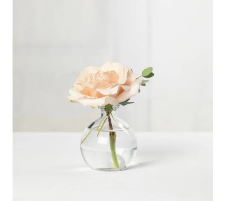 SINGLE ROSE IN LOW VASE