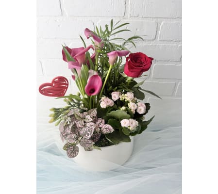 Love this Tropical Planter!