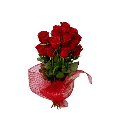A Dozen Red Roses