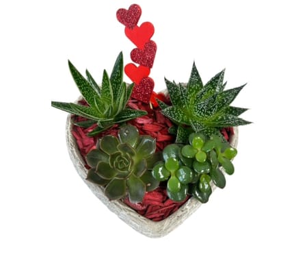 Heart Succulant Planter