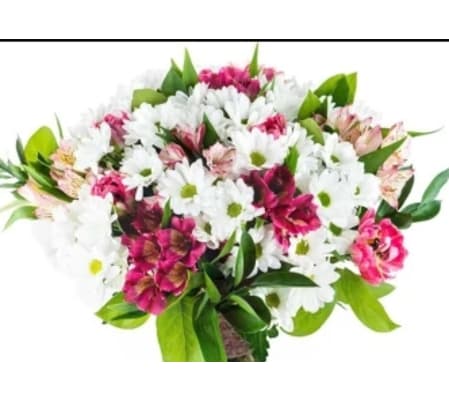 WHITE DAISIES & ANY ALSTROMERIA IN A VASE 