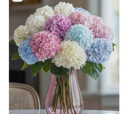 Full Color Hydrangeas  