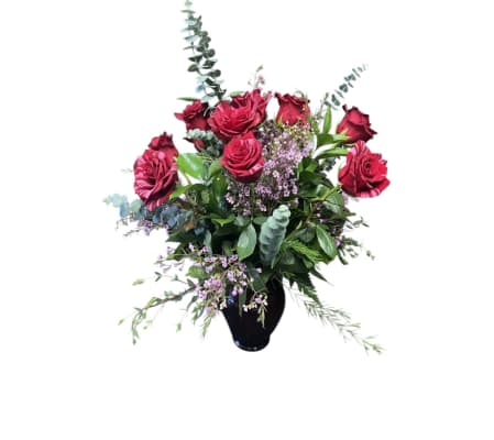 Red Panther  Wow Her Socks off