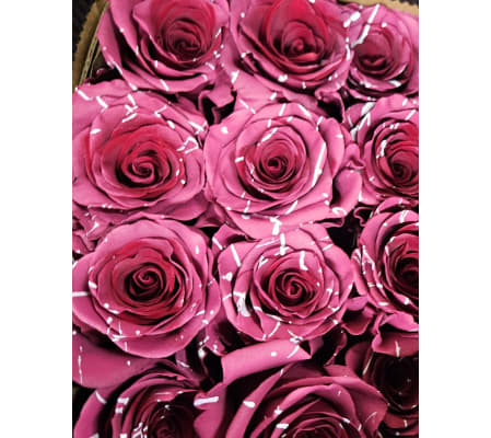 Splattered Boysenberry Dozen