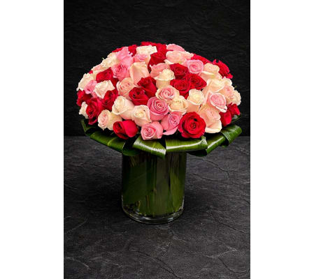 TriColor Rose Passion 